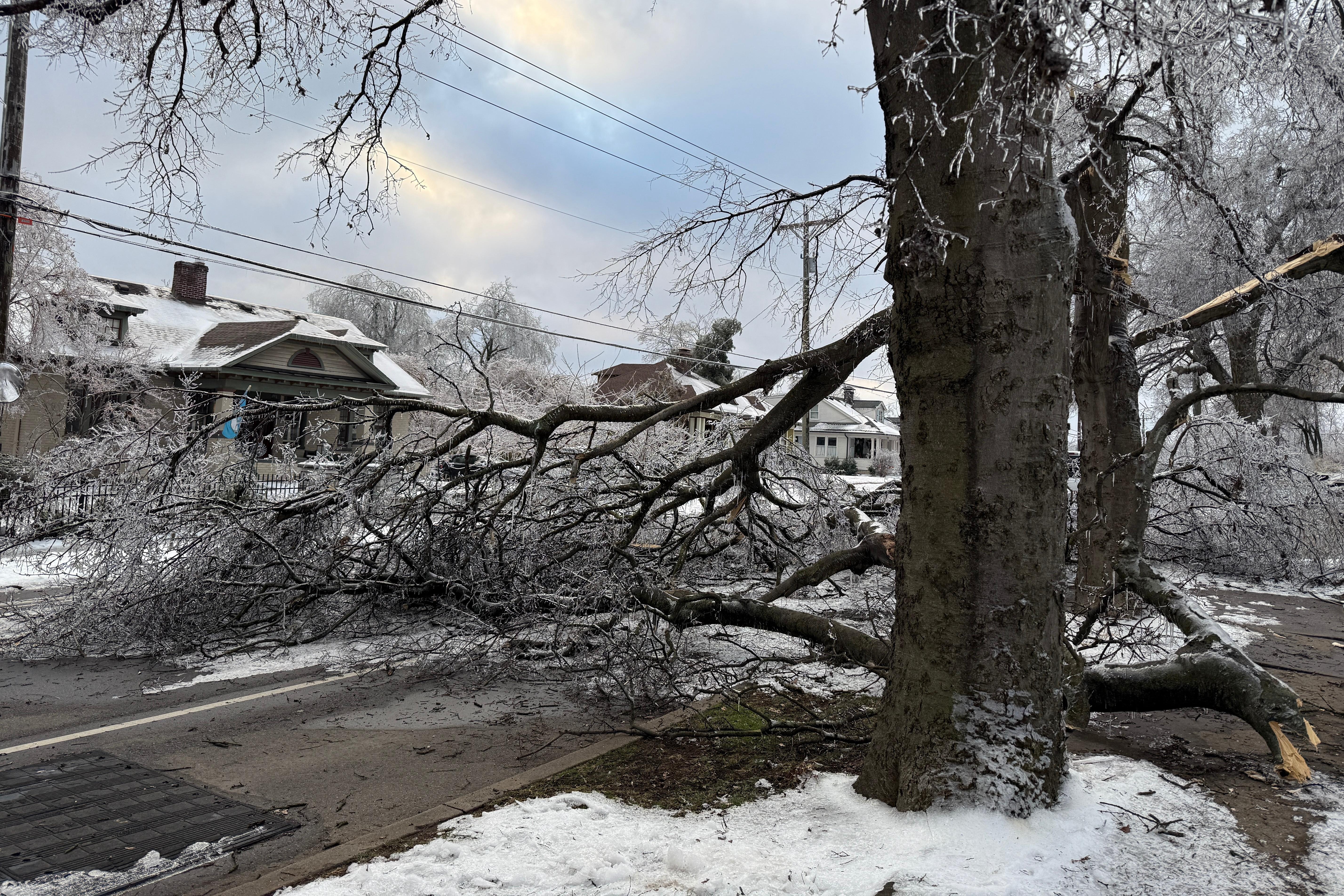 A tree blocks the road days after an ice storm...
